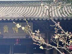 -钱王祠