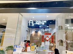 -COLOR PETS 撸猫馆·购猫·猫咖(长风大悦城店)