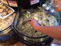 陶陶居海鲜火锅酒家-陶陶居海鲜酒家(新马路店)