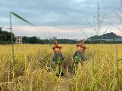 -光明小镇欢乐田园