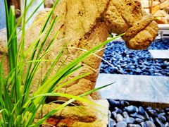 -陈熹公民族美食文化餐厅(中华广场店)