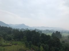 -成都蒲江花样年福朋喜来登度假酒店·宜客乐西餐厅