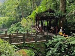 -青城山