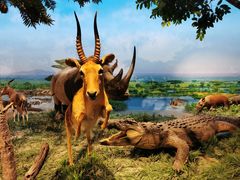 -国家自然博物馆