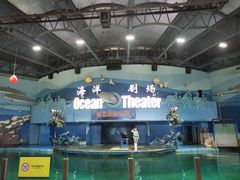 -苏州海洋馆