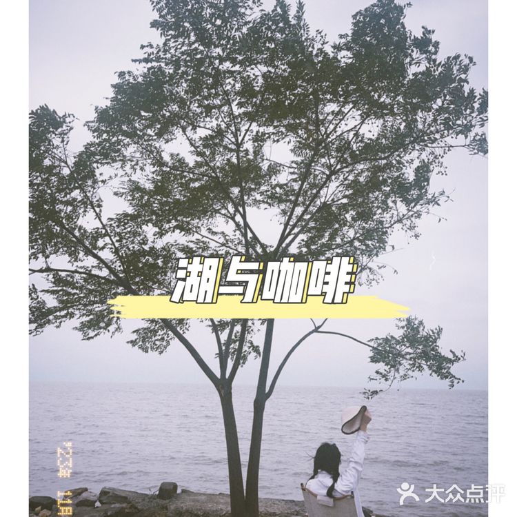 周末自驾旅游｜拍照打卡绝美咖啡厅☕苏州太湖