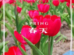 -南通洲际绿博园