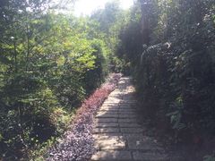 -中旅阿那亚九龙湖·公主酒店
