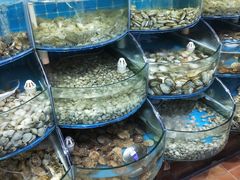 水产区-同道蒸汽海鲜烧烤自助(刘庄夜市店)