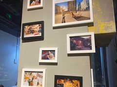 -百好乐宠物友好餐厅(朝外大街店)