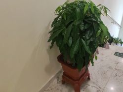 -海涛医疗美容·面部抗衰·注射美鼻