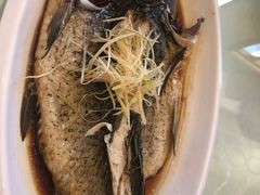 -玉雪春天(中正花园店)