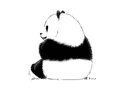 -老木瓜(同心路店)