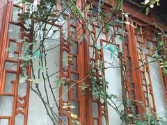 -三色堇(小通巷店)