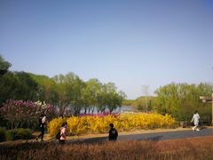 -大兴滨河森林公园