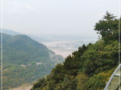 -铁山坪森林公园