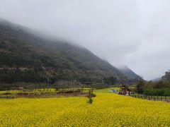 -万峰林风景区