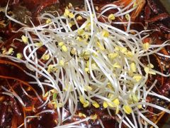 -杨肥肠火锅大排档(火车站花园店)