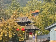 -遵化市禅林寺古银杏风景园