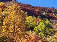 -北京西山国家森林公园