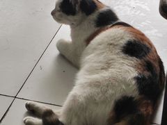 -洁美凉粉店(温江店)