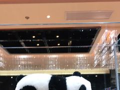 -红辣椒·川菜·火锅(张杨路店)