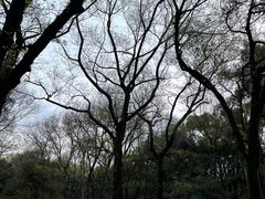 -杭州植物园