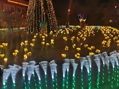 -南宫五洲植物乐园