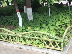 -文瀛公园
