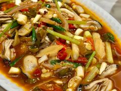 -棕榈泉国际高尔夫学院