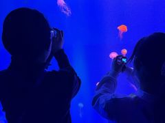 -海合安武汉极地海洋公园