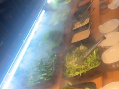 -丰茂烤串(公园店)