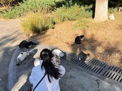 -北京中信金陵酒店