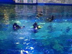 -华夏文旅海洋公园