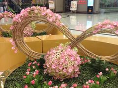 -万达广场(南宁青秀店)