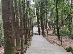 -火炉山森林公园