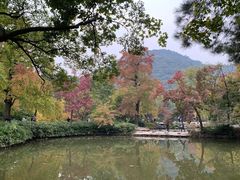 -第六空间国际家居(旺墩路店)