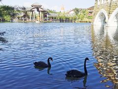 -茵特拉根酒店·西餐厅