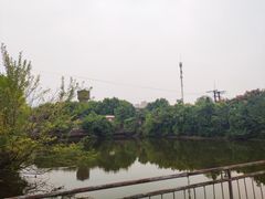 -张之洞与武汉博物馆