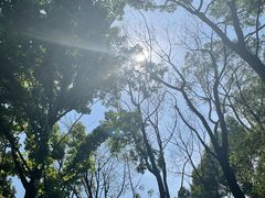 -青龙山国家森林公园