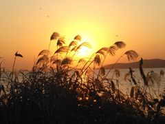 -上海市保健医疗中心