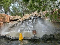 -北京野生动物园