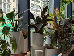 -懒人盐府人家(航天桥店)