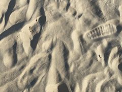 -惠州金海湾嘉华度假酒店