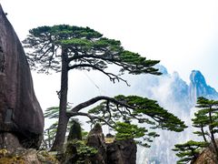 -黄山风景区