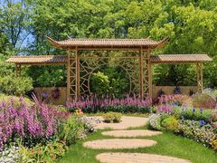 -上海共青森林公园