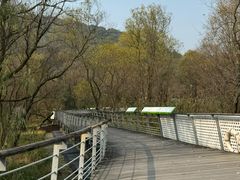 -西湖风景区-江洋畈生态公园