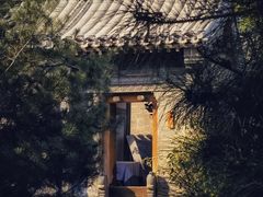 -三里河公园