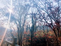 -南京市无想山景区