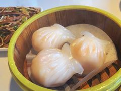 -东方早茶 海鲜•青岛菜(国信体育中心店)